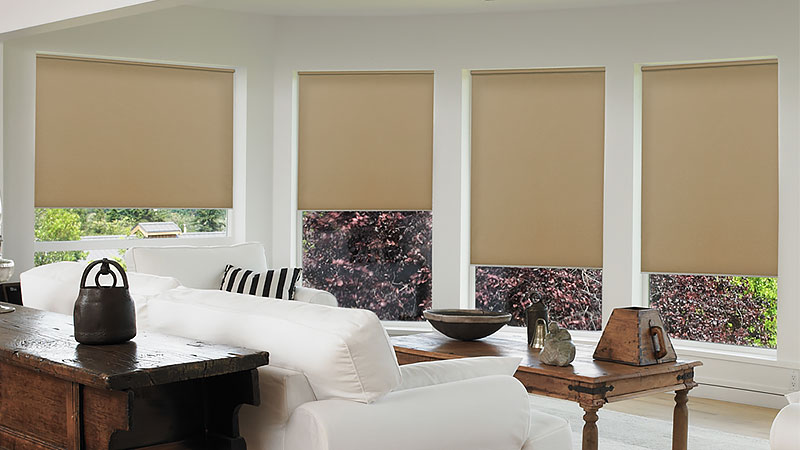 Roller-Shades Persianas enrollables