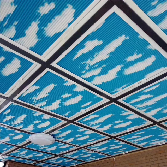 Persianas opacas manuales para ventana de techo de nido de abeja