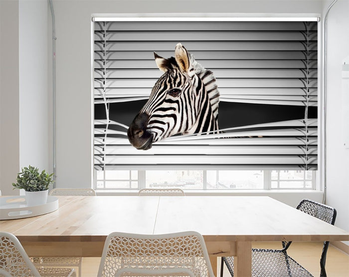 Cortinas y persianas enrollables Zebra