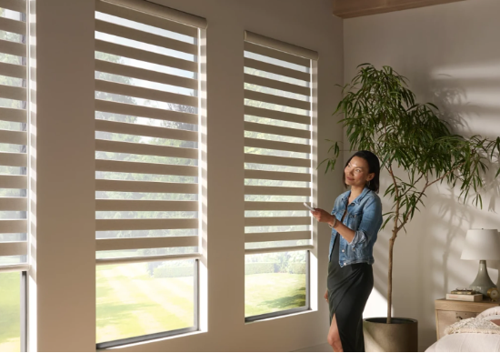 Persianas cebra para ventanas de 50 pulgadas