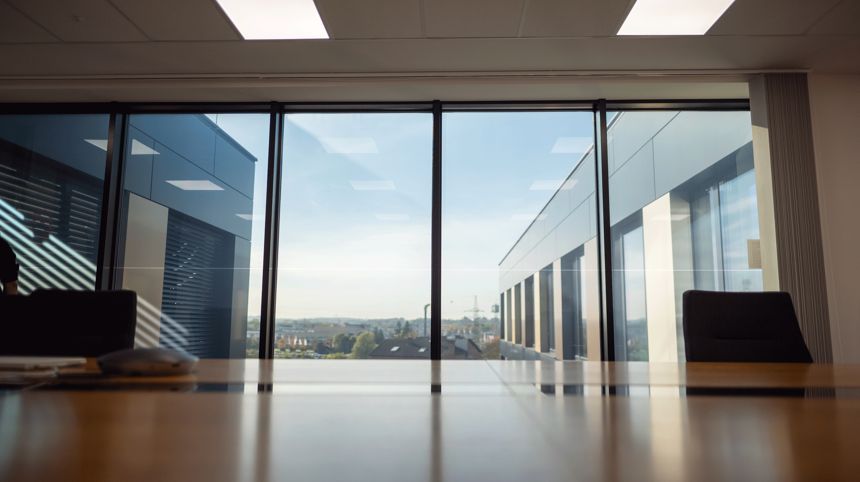 Pel&iacute;cula inteligente Pdlc